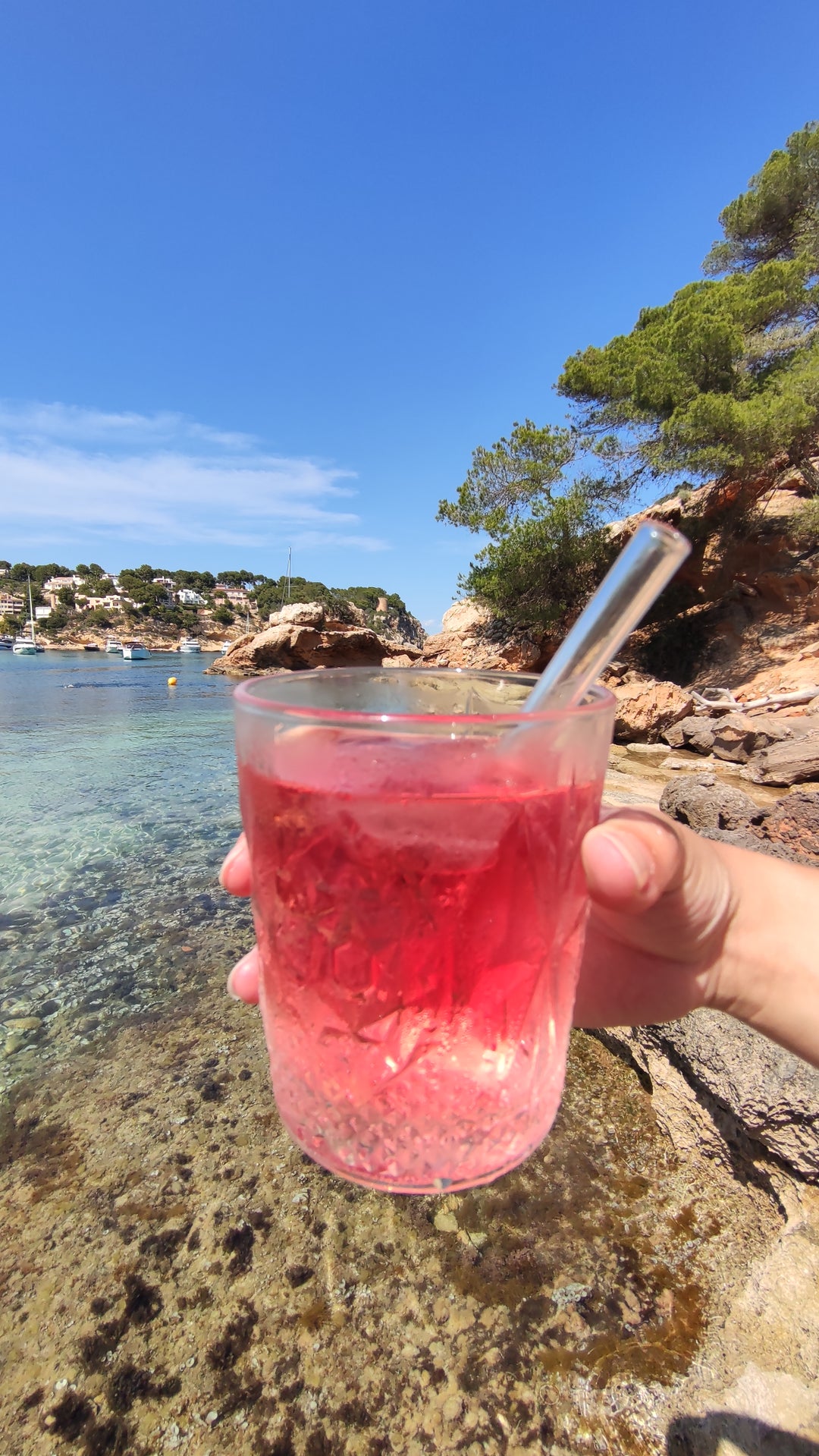Eistee zum selber machen (DIY Icetea)