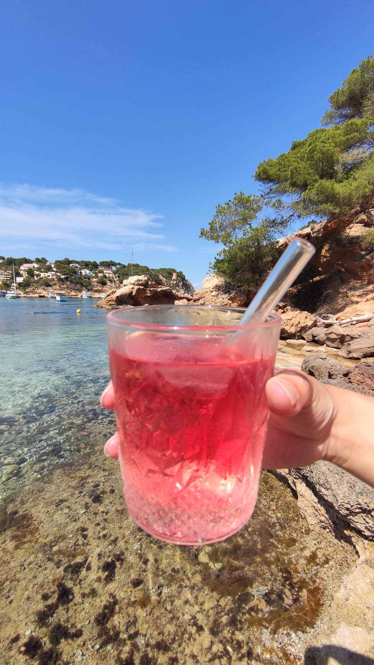 Eistee zum selber machen (DIY Icetea)